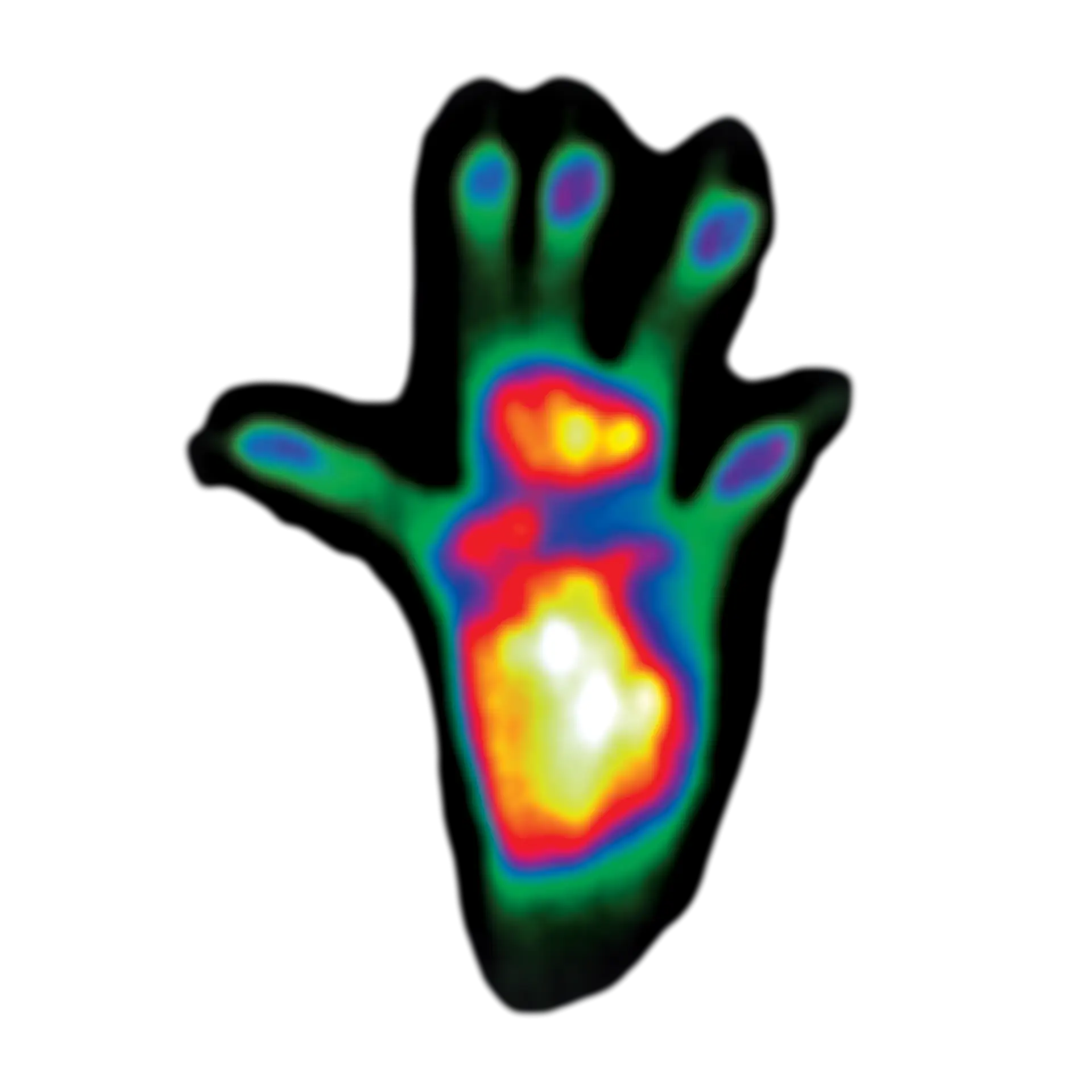 Mouse Heatmap Footprint